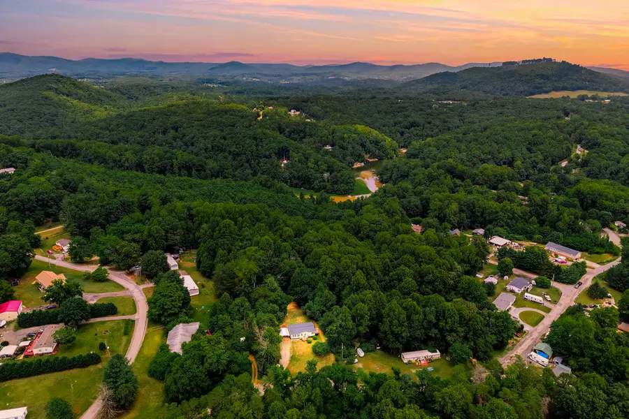 304 Ridgelake Rd, Goodview, VA 24095 - #2