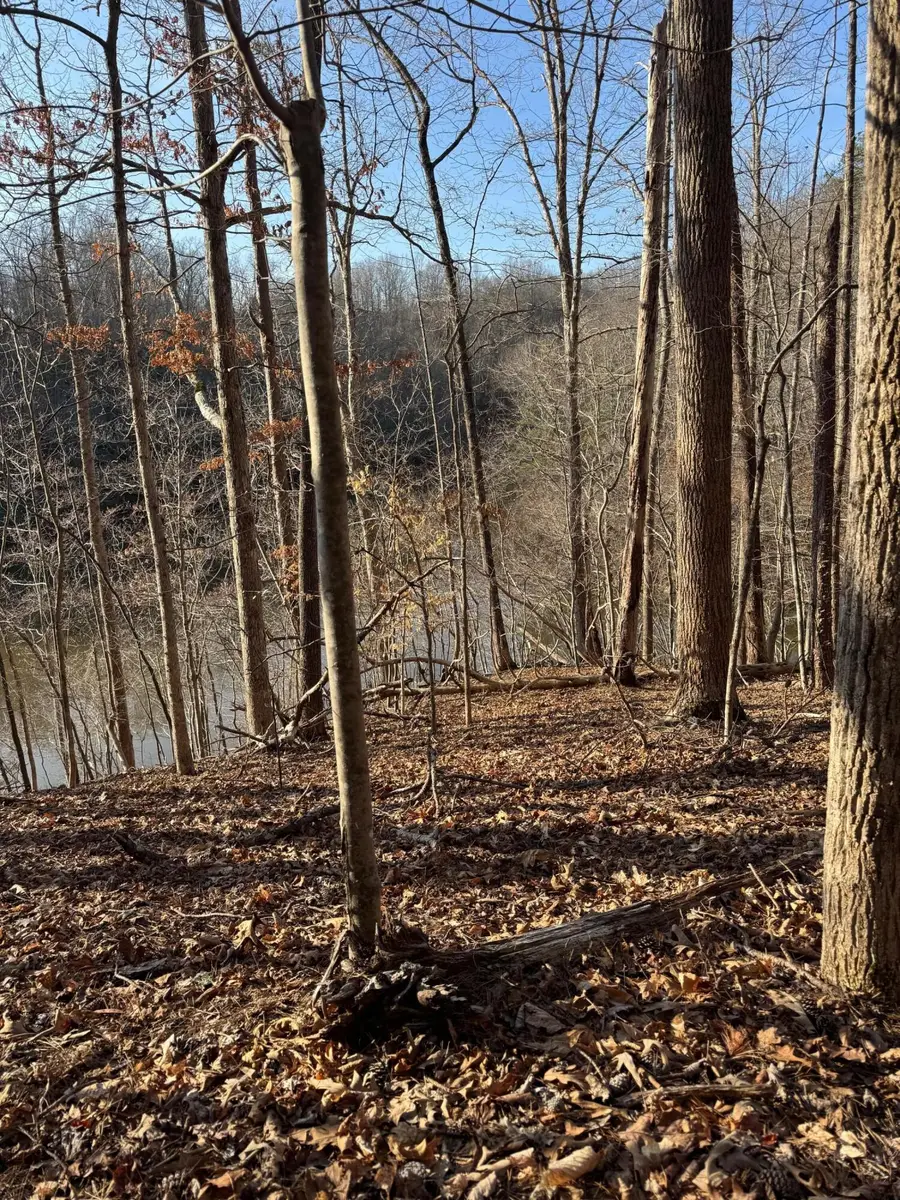 Lot 26 Poplar Dr, Hardy, VA 24101 - #2