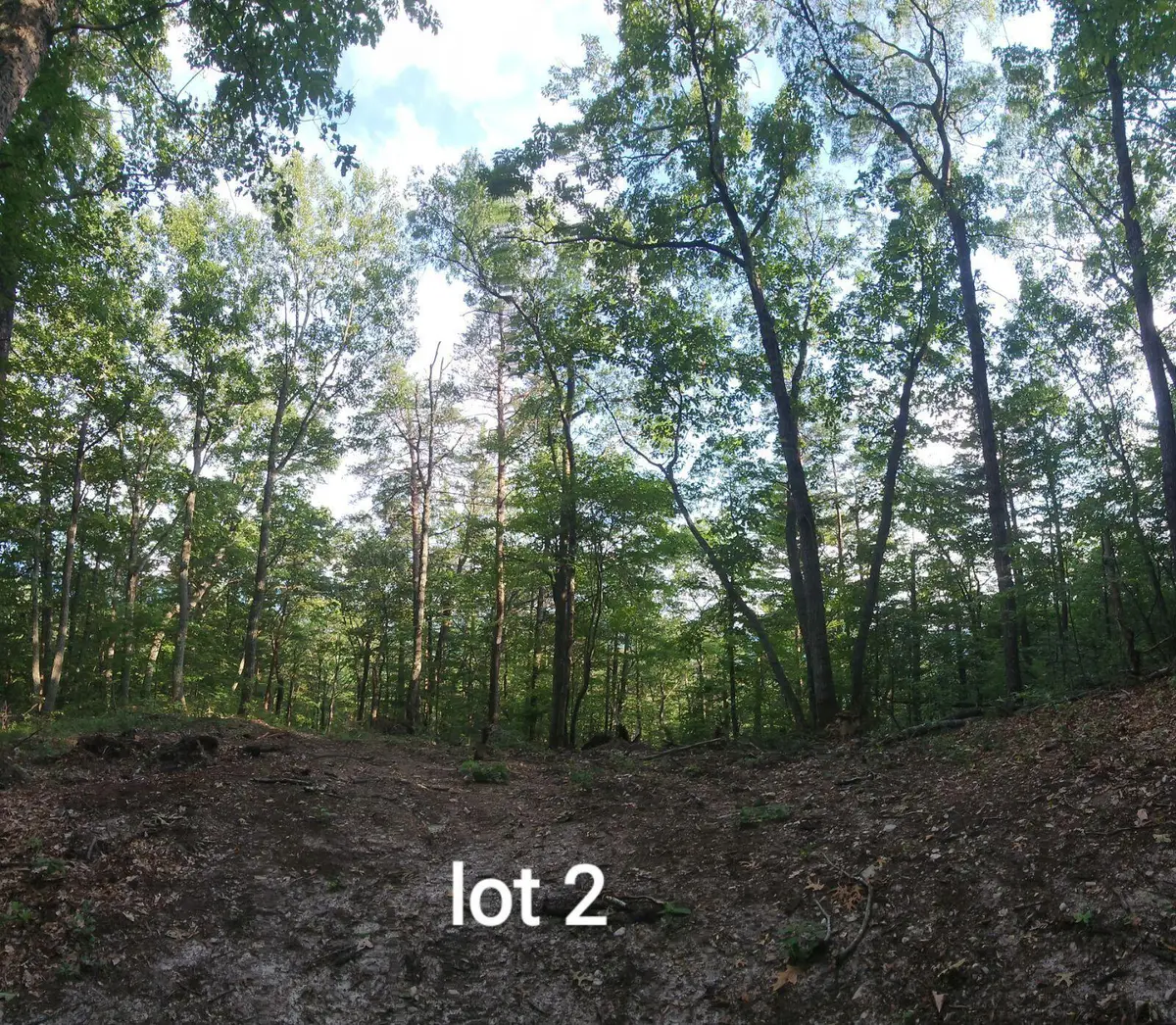 2761 Reese Mountain Rd, Elliston, VA 24087 - #1