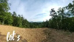 2811 Reese Mountain Rd, Elliston, VA 24087 - #1