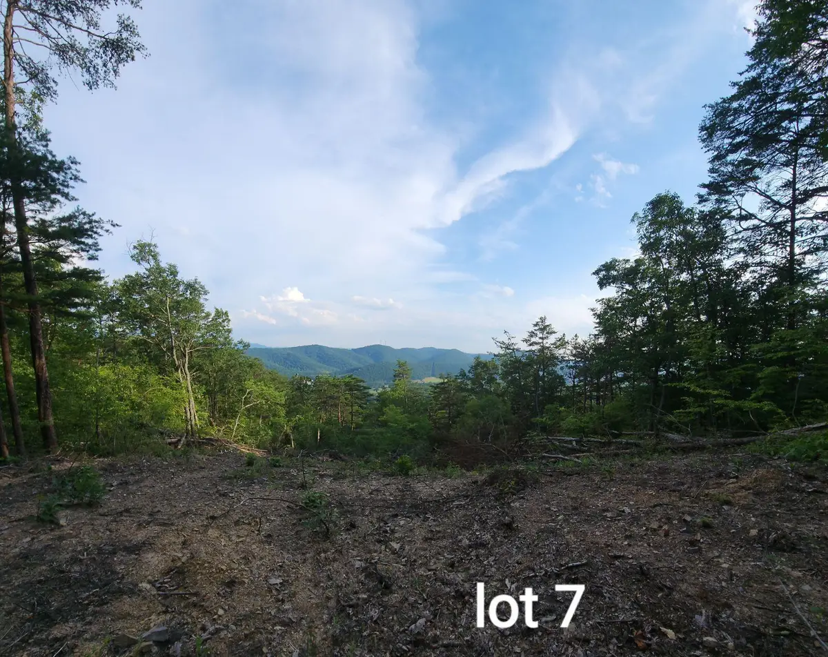 3031 Reese Mountain Rd, Elliston, VA 24087 - #1