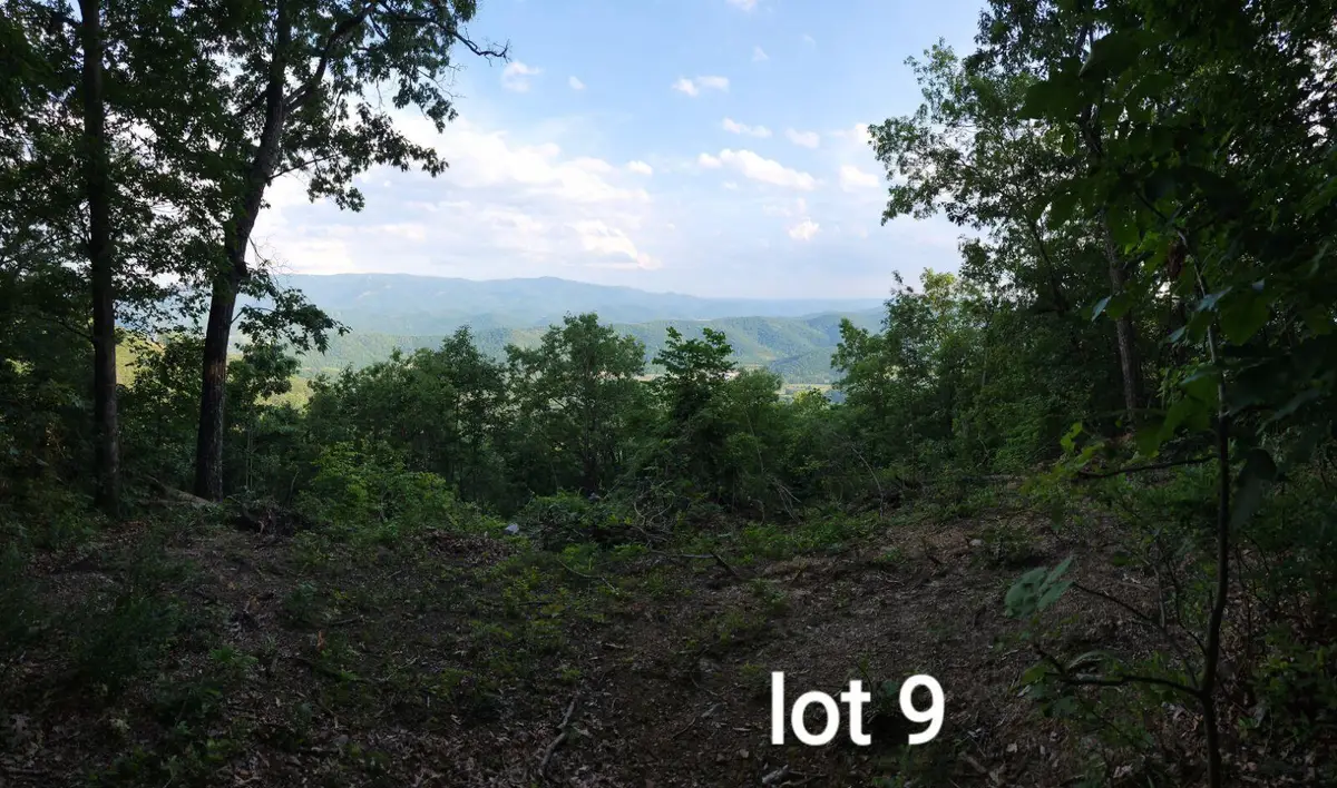 3280 Reese Mountain Rd, Elliston, VA 24087 - #1