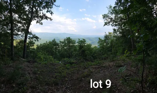 3280 Reese Mountain Rd, Elliston, VA 24087