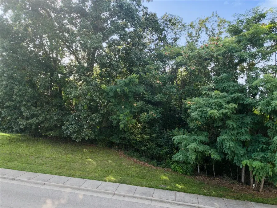 8156 River Course Dr, Radford, VA 24141 - #3