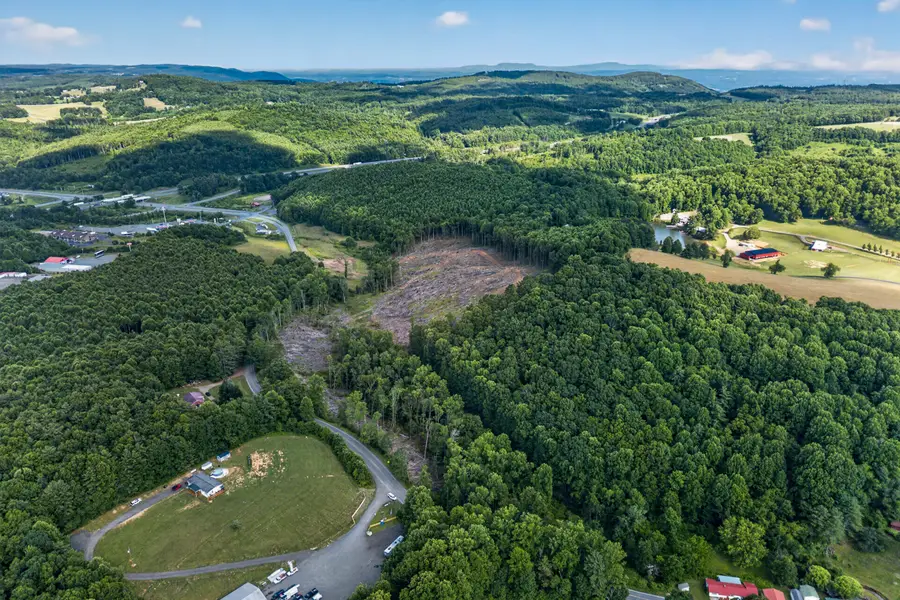 6196 Chances Creek Rd, Fancy Gap, VA 24328 - #2
