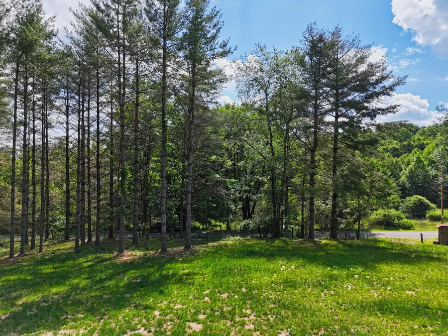 TBD Dogwood Ln Sw, Willis, VA 24380 - #3