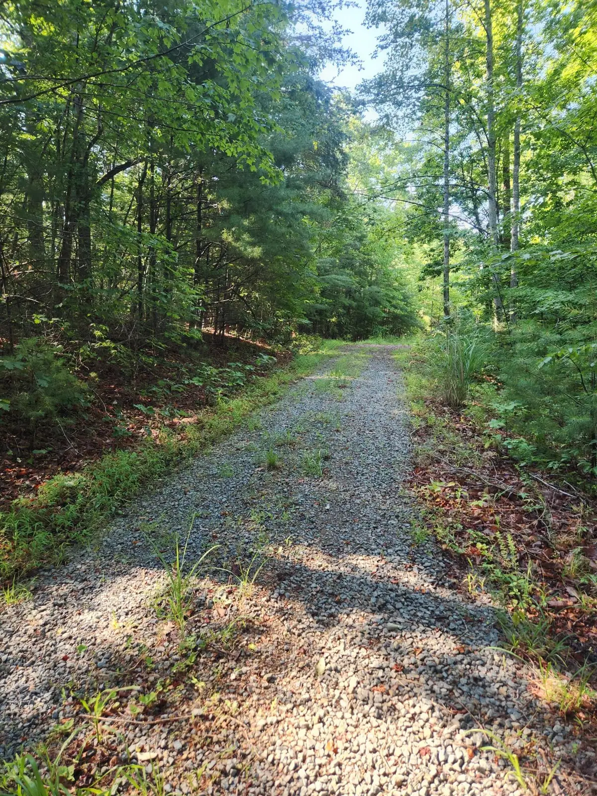 0 Otter Dr, Ferrum, VA 24088 - #1
