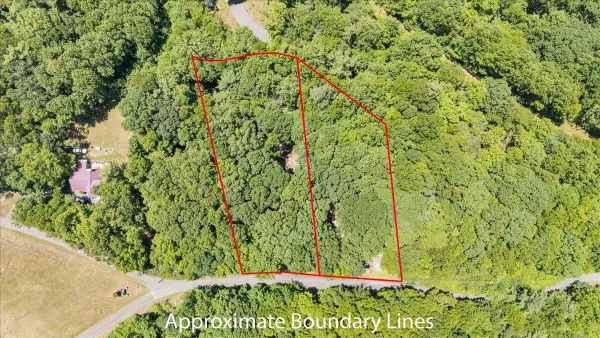 TBD Dogwood Ridge, Fancy Gap, VA 24328