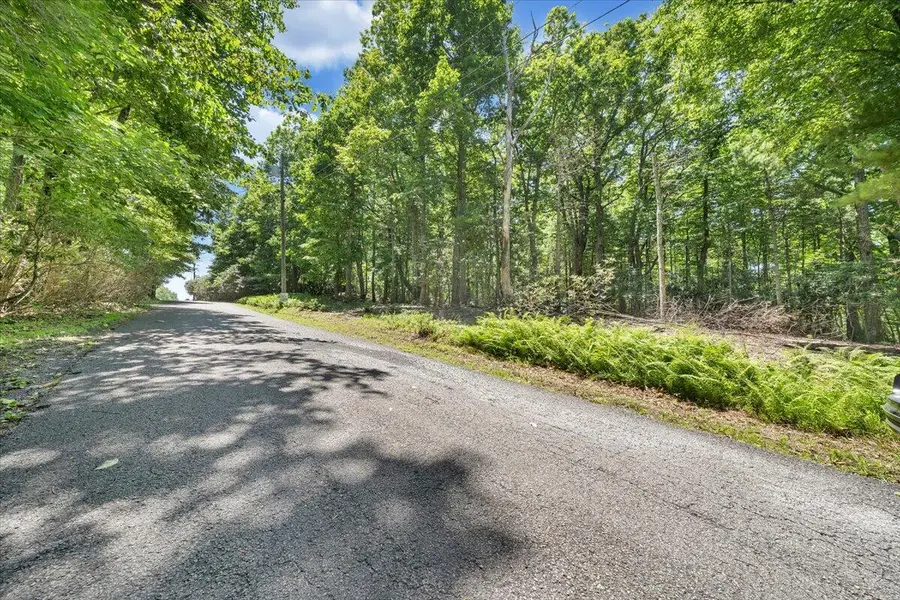 TBD Dogwood Ridge, Fancy Gap, VA 24328 - #3