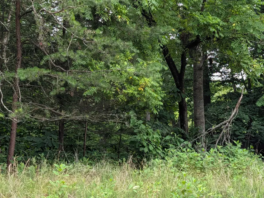 Lot 55 Blazing Ridge Dr, Pittsville, VA 24139 - #2
