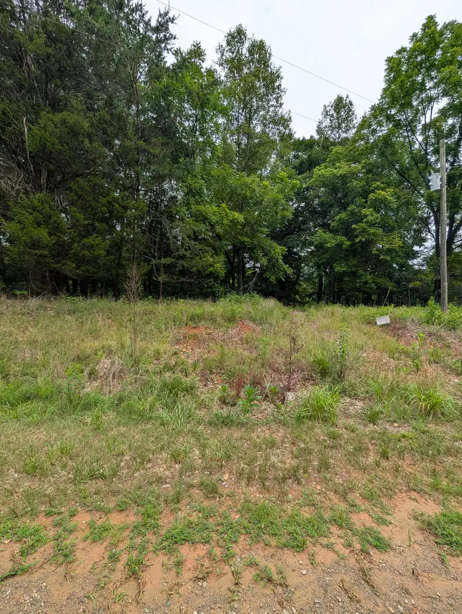 Lot 55 Blazing Ridge Dr, Pittsville, VA 24139 - #3