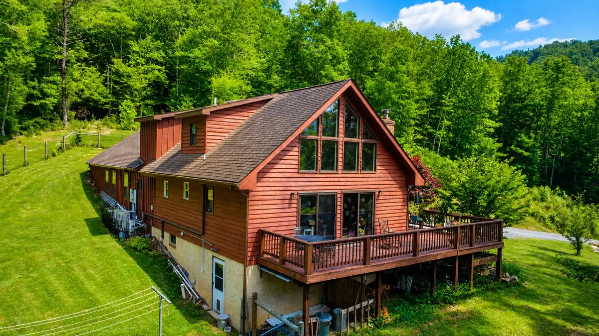 65 Cubbley Rd, Hot Springs, VA 24445 - #1