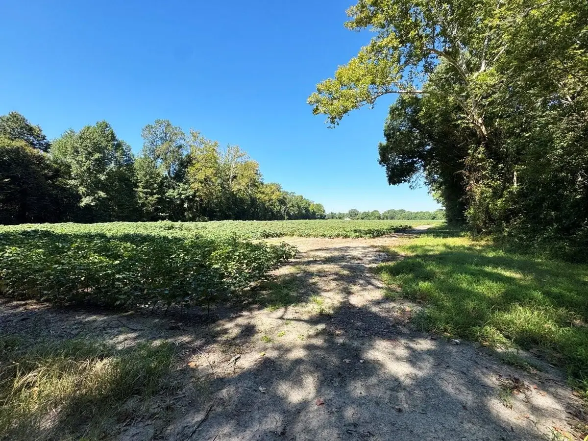 0 Delaware Rd, Courtland, VA 23837 - #1