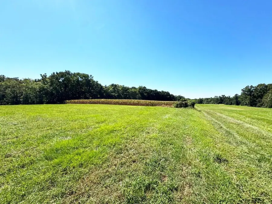 0 Rawlsdale Rd, Franklin, VA 23851 - #3
