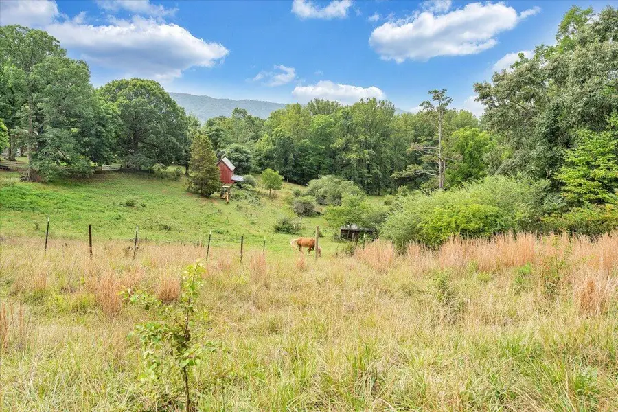 381 Morning Dove Ln, Blue Ridge, VA 24064 - #3