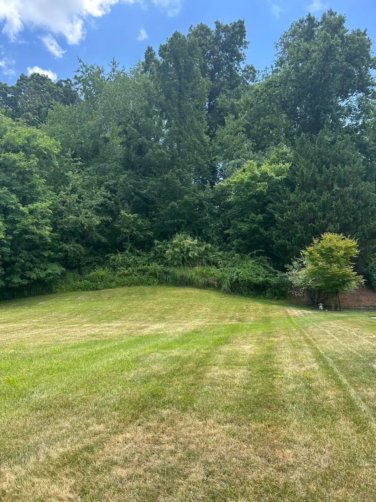8251 Sawgrass Way, Radford, VA 24141 - #1