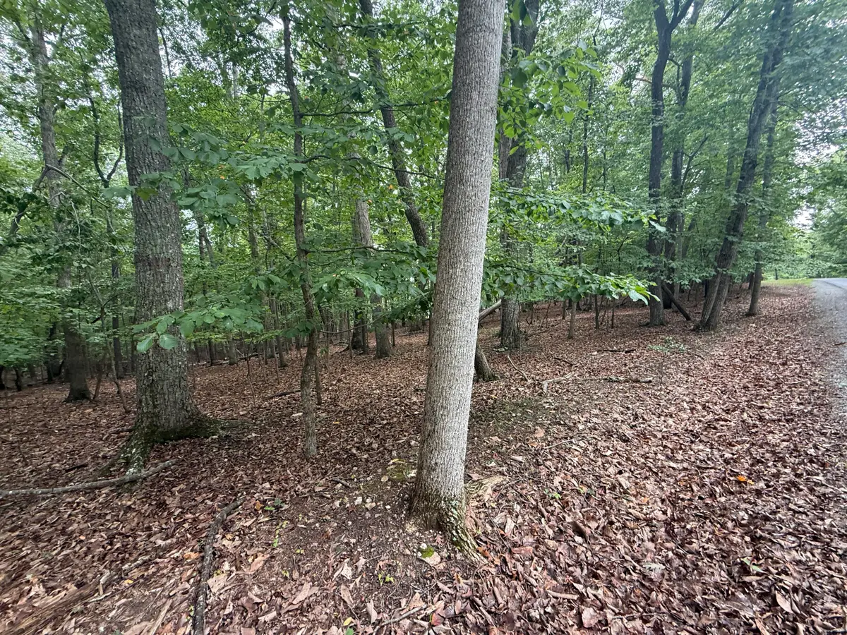 Lot 17 Saunders Point, Huddleston, VA 24104 - #1