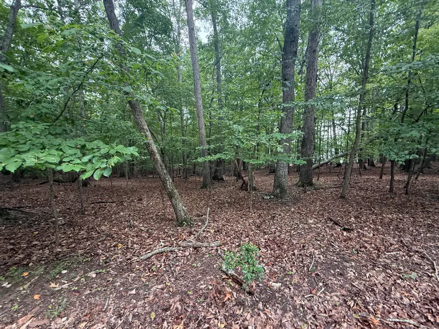 Lot 17 Saunders Point, Huddleston, VA 24104 - #2