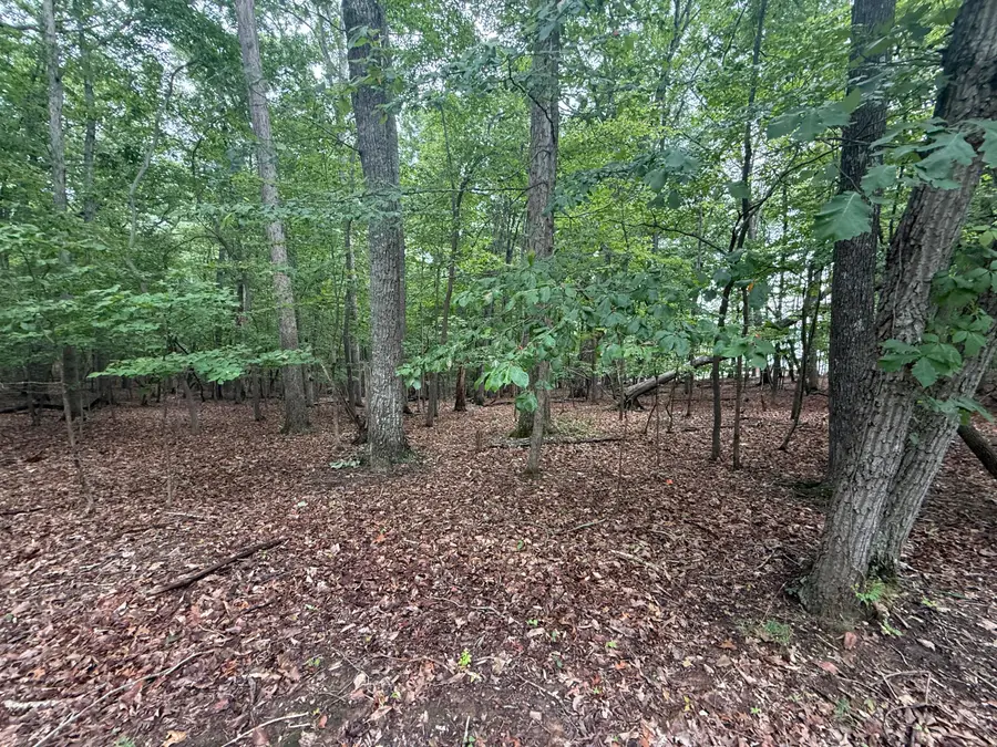 Lot 17 Saunders Point, Huddleston, VA 24104 - #3