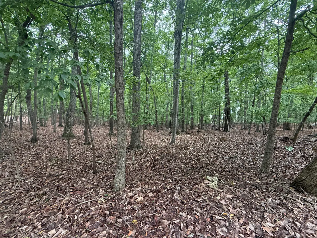 Lot 18 Saunders Point, Huddleston, VA 24104 - #1