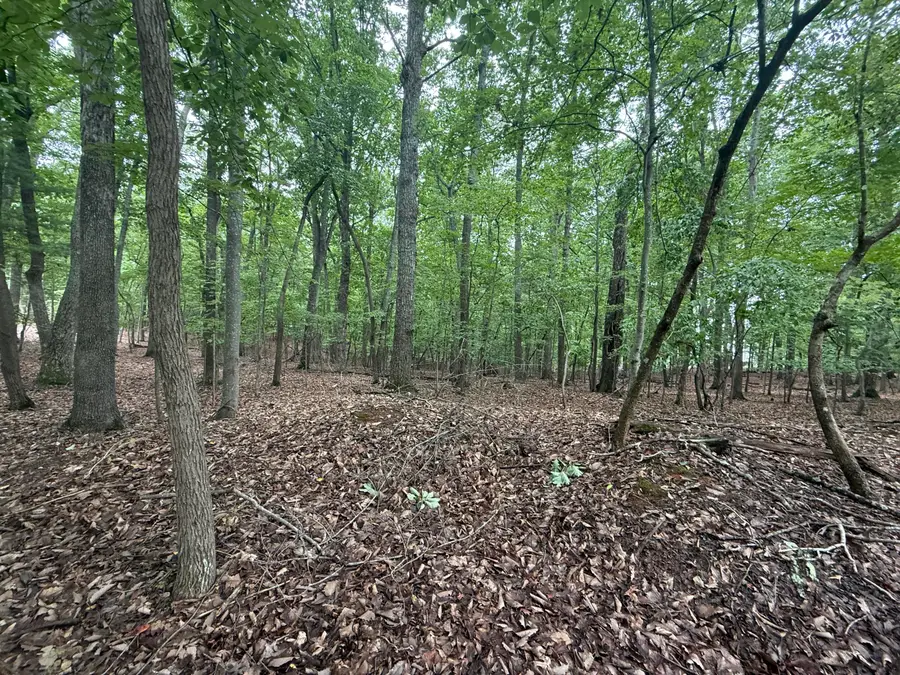 Lot 18 Saunders Point, Huddleston, VA 24104 - #2