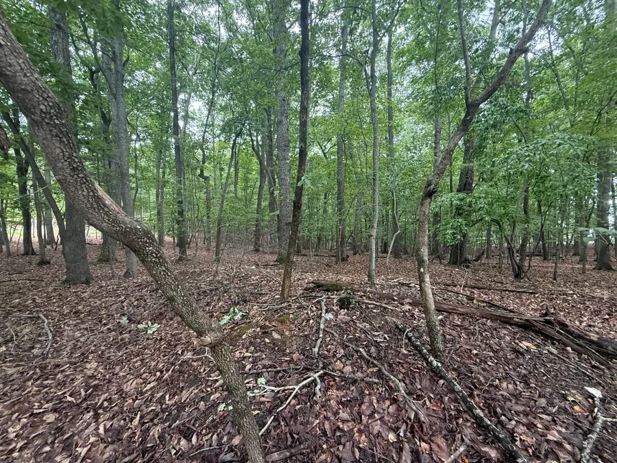 Lot 18 Saunders Point, Huddleston, VA 24104 - #3