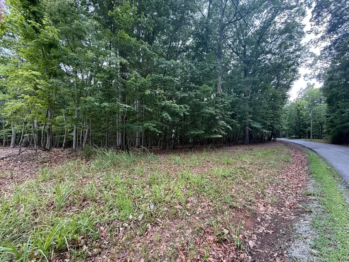 Lot 19 Saunders Point, Huddleston, VA 24104 - #1