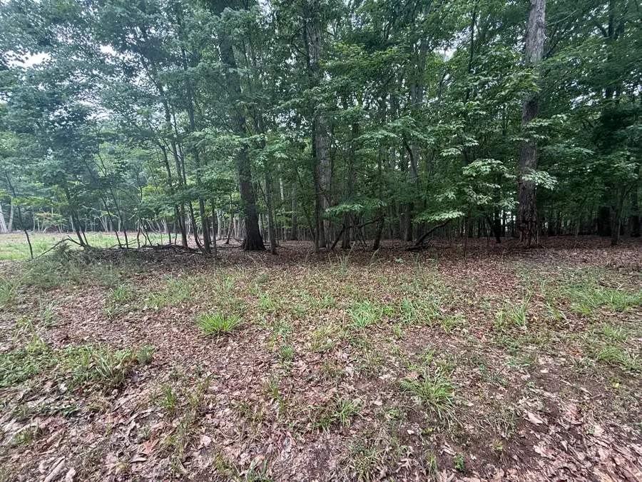 Lot 19 Saunders Point, Huddleston, VA 24104 - #2
