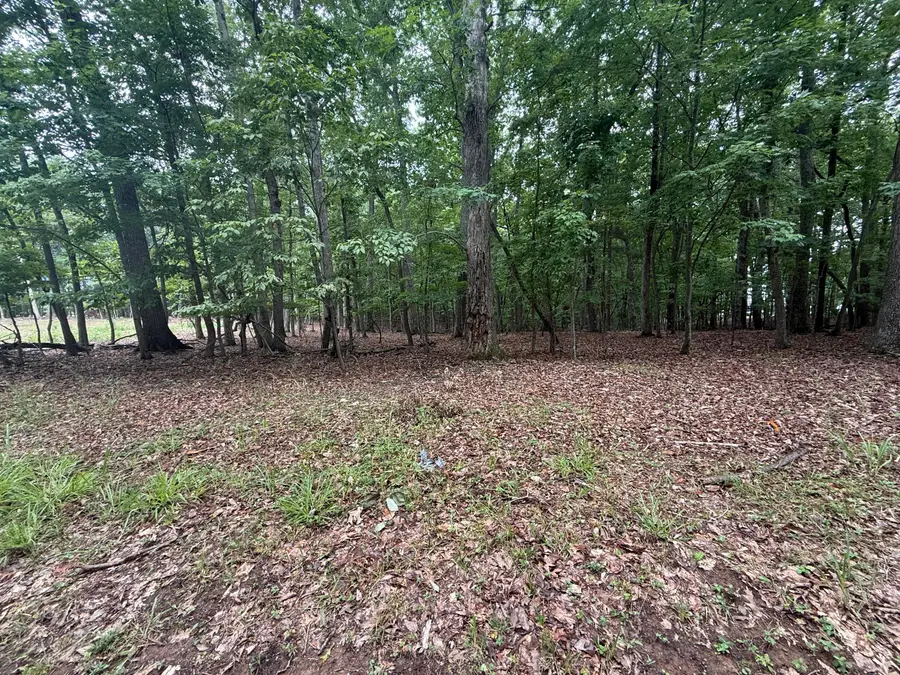 Lot 19 Saunders Point, Huddleston, VA 24104 - #3