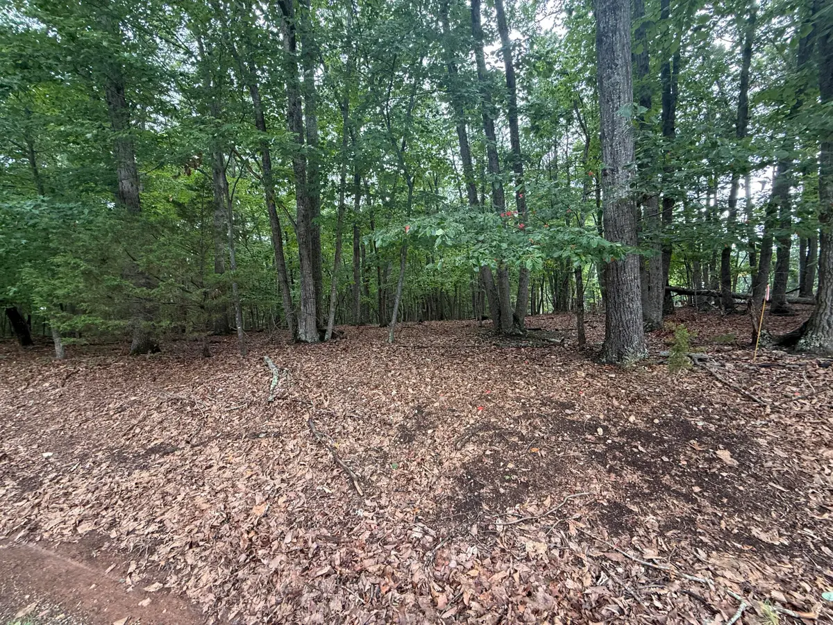 Lot 23 Lee, Huddleston, VA 24104 - #1