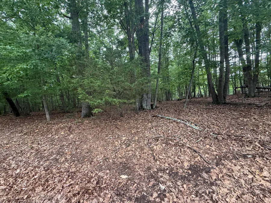 Lot 23 Lee, Huddleston, VA 24104 - #2