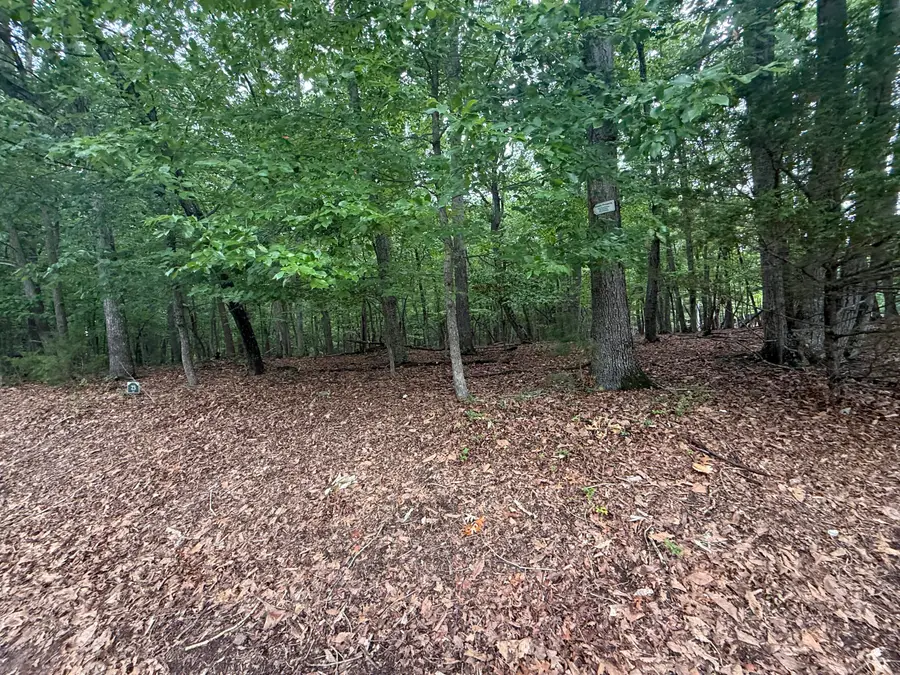 Lot 23 Lee, Huddleston, VA 24104 - #3