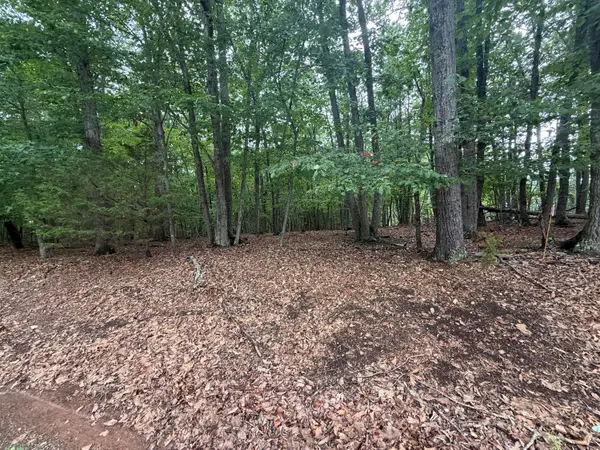 Lot 24 Lee Dr, Huddleston, VA 24104