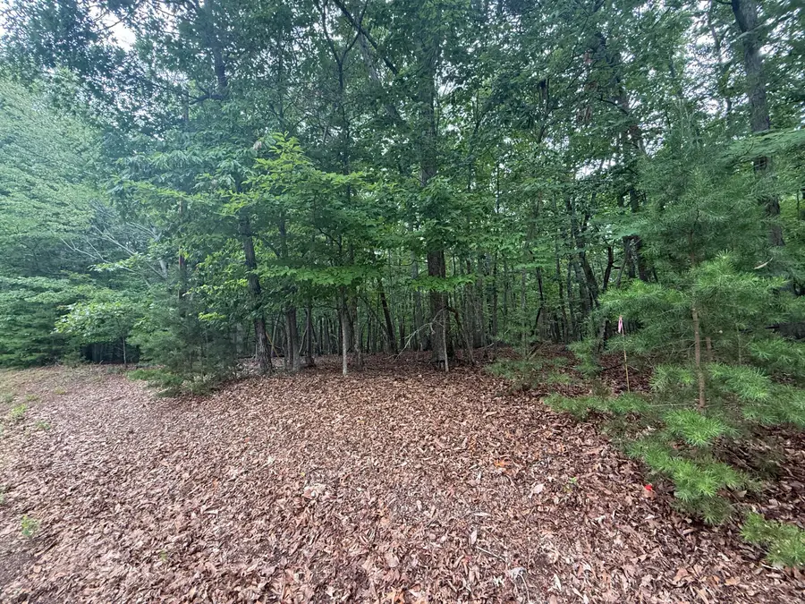 Lot 24 Lee, Huddleston, VA 24104 - #3