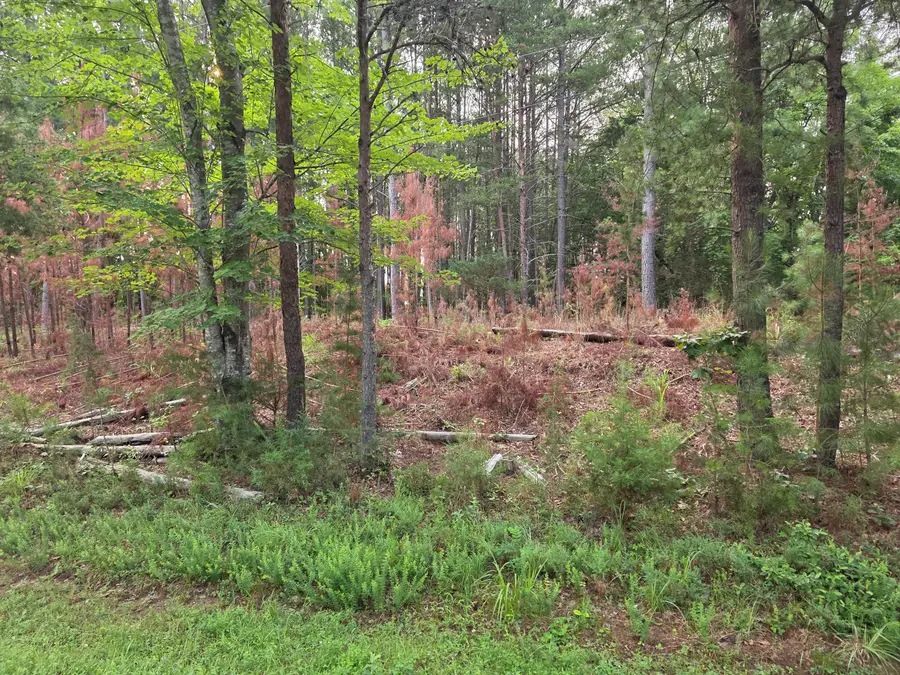 Lot 2 Morgans Fork Rd, Penhook, VA 24137 - #2
