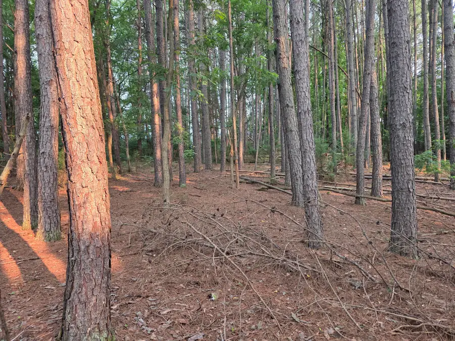 Lot 2 Morgans Fork Rd, Penhook, VA 24137 - #3