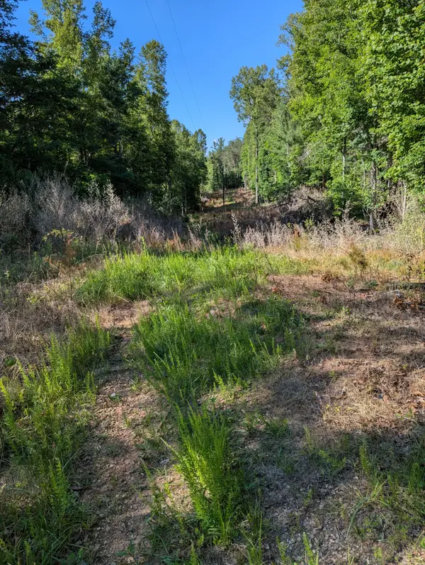 0 Old Forge Rd, Rocky Mount, VA 24151