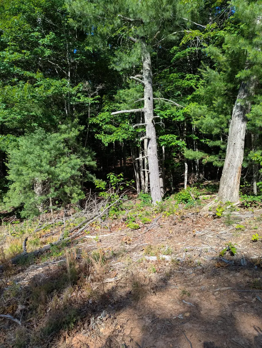 0 Old Forge Rd, Rocky Mount, VA 24151 - #2