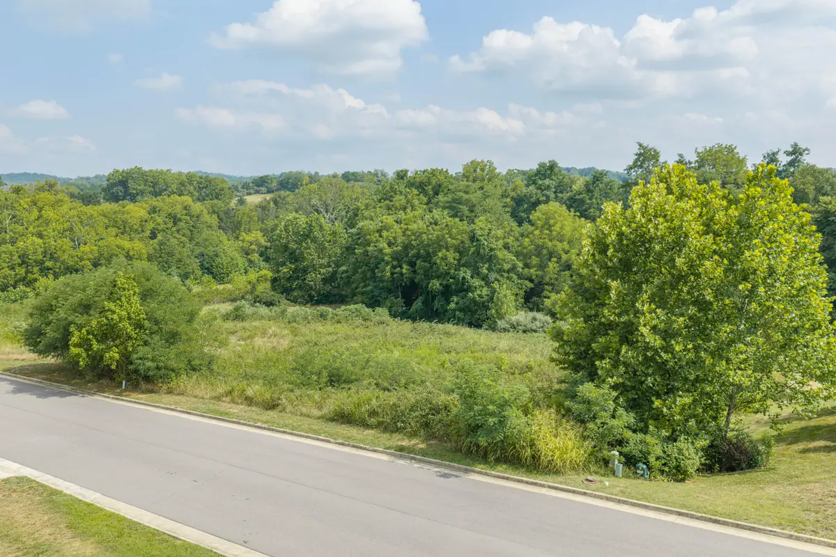 Lot 16 Ridgley Ln, Fincastle, VA 24090 - #1
