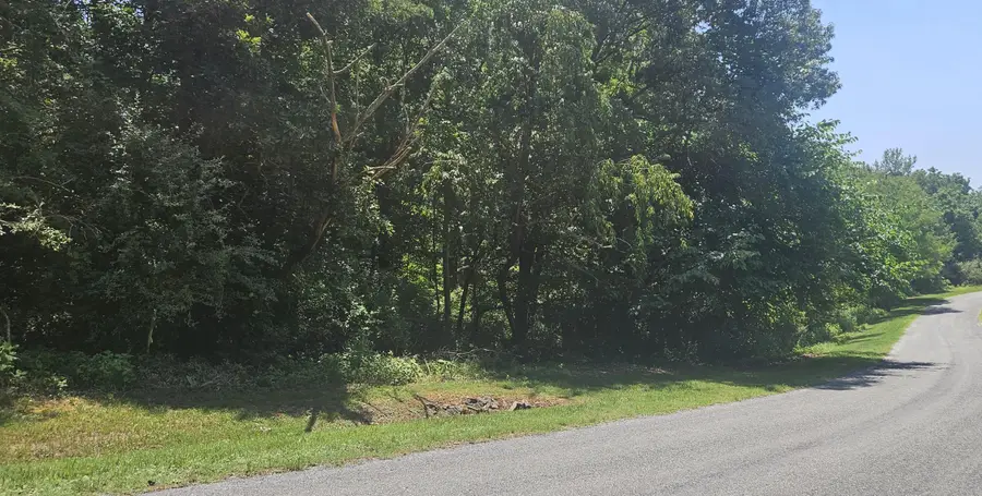 Lot 2 & 3 Longview Estates, Goodview, VA 24095 - #2