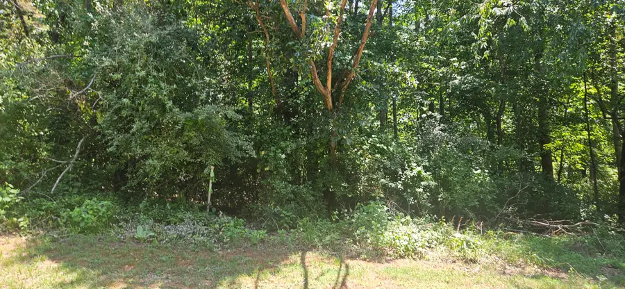 Lot 2 & 3 Longview Estates, Goodview, VA 24095 - #3