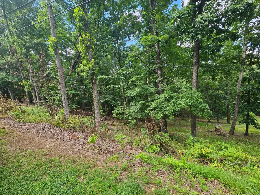 0 Pin Oak Dr, Blue Ridge, VA 24064 - #3