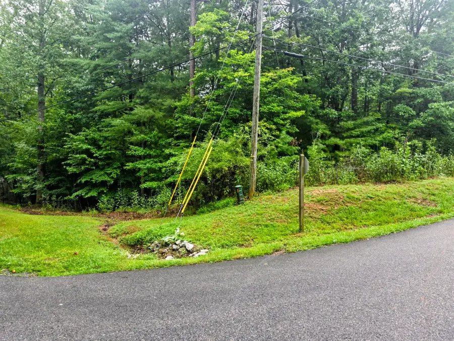 Lot 25 Gap Bridge Rd, Moneta, VA 24121 - #2