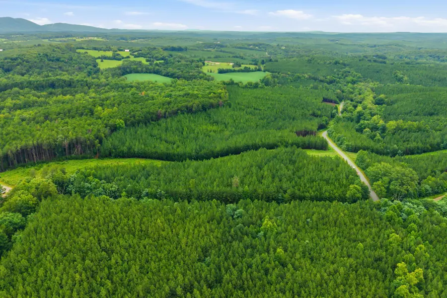 Lot A3 Grassland Dr, Sandy Level, VA 24161 - #3