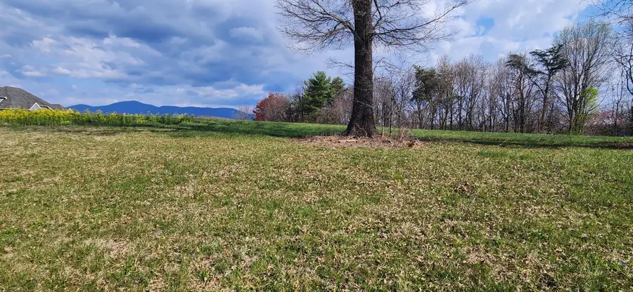 LOT 1 Callaway Rd, Rocky Mount, VA 24151 - #2