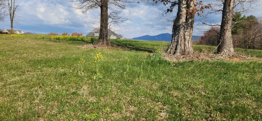 LOT 1 Callaway Rd, Rocky Mount, VA 24151 - #3