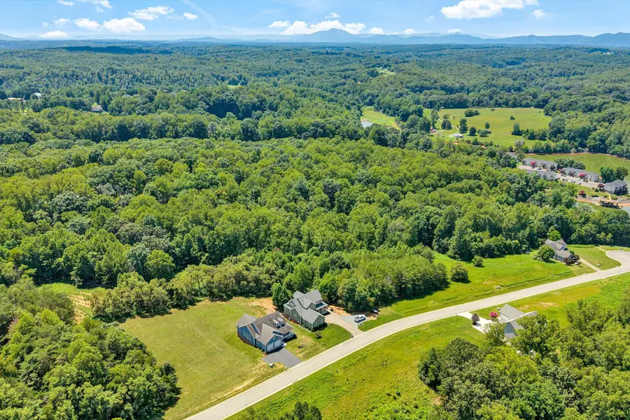 131 Grand Harbour, Hardy, VA 24101 - #3