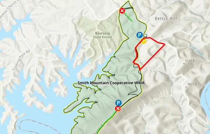 Tracts 8a & 8b Tolers Ferry Rd, Huddleston, VA 24104 - #2