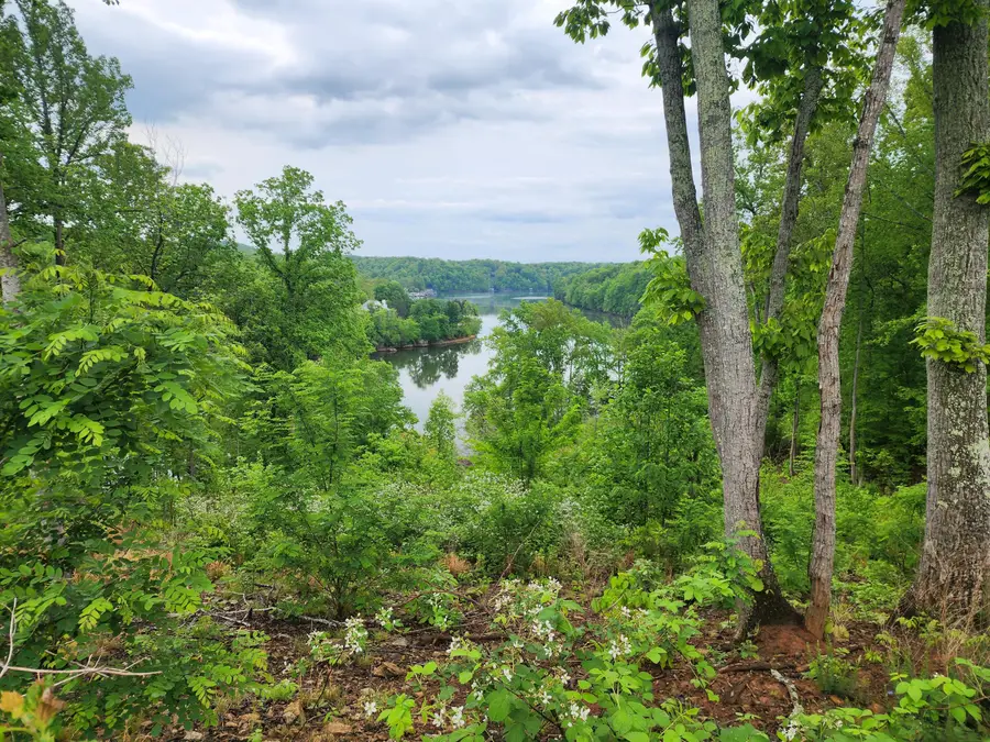 Lot 69 Washburn Ct, Hardy, VA 24101 - #2