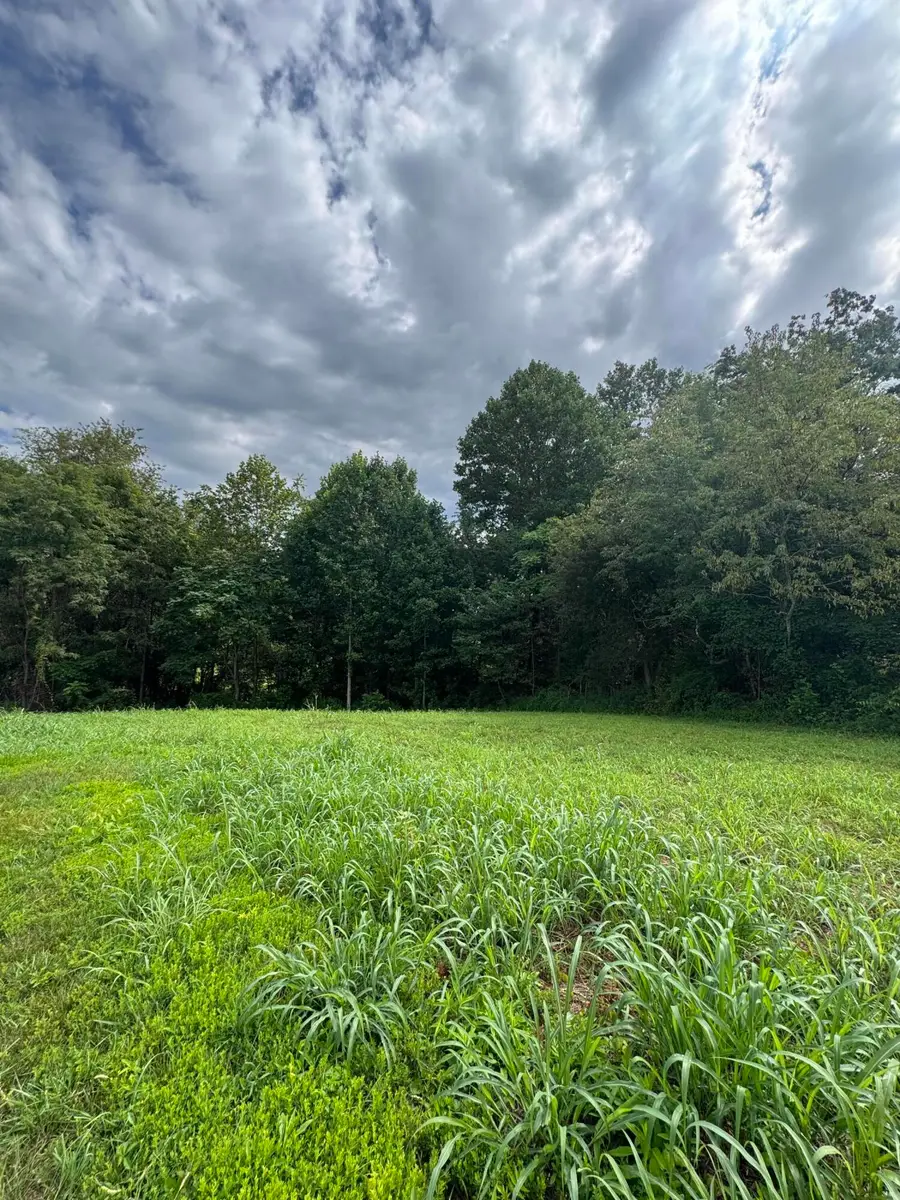 Lot 13 Keiths Pl, Rocky Mount, VA 24151 - #2